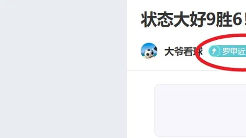 2025年1月26日篮球用品品牌排行：篮球品牌前茅排名公布