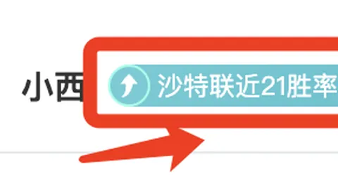 篮球梦起航：颜小白记，更新于3小时前