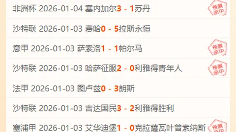 欧洲杯逆袭战：西班牙神龟发挥关键作用